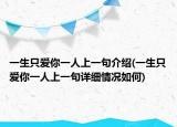 一生只爱你一人上一句介绍(一生只爱你一人上一句详细情况如何)