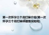 第一次怀孕三个月打掉介绍(第一次怀孕三个月打掉详细情况如何)