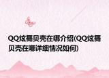 QQ炫舞贝壳在哪介绍(QQ炫舞贝壳在哪详细情况如何)