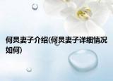 何炅妻子介绍(何炅妻子详细情况如何)