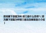 愿将腰下剑直为斩,楼兰是什么意思?（愿为腰下剑直为斩楼兰是出自哪里简介介绍）