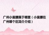 广州小蛮腰属于哪里（小蛮腰在广州哪个区简介介绍）