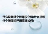 什么是场外个股期权介绍(什么是场外个股期权详细情况如何)