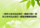 一羽月土米水日古余打一成语介绍(一羽月土米水日古余打一成语详细情况如何)