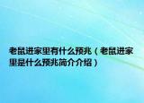 老鼠进家里有什么预兆（老鼠进家里是什么预兆简介介绍）