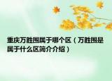 重庆万胜围属于哪个区（万胜围是属于什么区简介介绍）