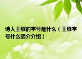 诗人王维的字号是什么（王维字号什么简介介绍）