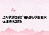 透明状的面膜介绍(透明状的面膜详细情况如何)