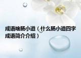 成语啥肠小道（什么肠小道四字成语简介介绍）