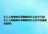 天上人间慢嗨开场舞曲叫什么名字介绍(天上人间慢嗨开场舞曲叫什么名字详细情况如何)
