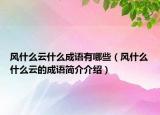 风什么云什么成语有哪些（风什么什么云的成语简介介绍）