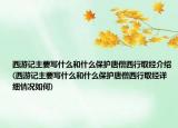 西游记主要写什么和什么保护唐僧西行取经介绍(西游记主要写什么和什么保护唐僧西行取经详细情况如何)