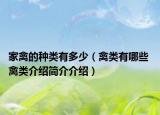 家禽的种类有多少（禽类有哪些 禽类介绍简介介绍）