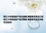 粉红大布娃娃的产地在哪里(哪里有实体店介绍 粉红大布娃娃的产地在哪里 哪里有实体店详细情况如何)