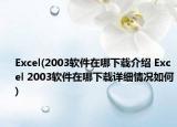 Excel(2003软件在哪下载介绍 Excel 2003软件在哪下载详细情况如何)