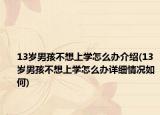 13岁男孩不想上学怎么办介绍(13岁男孩不想上学怎么办详细情况如何)
