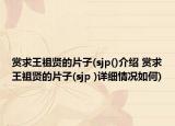 赏求王祖贤的片子(sjp()介绍 赏求王祖贤的片子(sjp )详细情况如何)