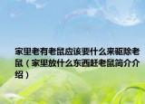 家里老有老鼠应该要什么来驱除老鼠（家里放什么东西赶老鼠简介介绍）