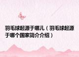 羽毛球起源于哪儿（羽毛球起源于哪个国家简介介绍）