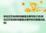 青岛花艺培训机构都是去哪学的介绍(青岛花艺培训机构都是去哪学的详细情况如何)