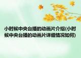 小时候中央台播的动画片介绍(小时候中央台播的动画片详细情况如何)