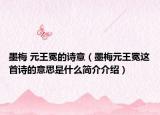 墨梅 元王冕的诗意（墨梅元王冕这首诗的意思是什么简介介绍）