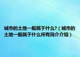 城市的土地一般属于什么?（城市的土地一般属于什么所有简介介绍）