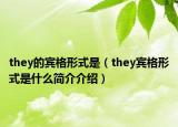 they的宾格形式是（they宾格形式是什么简介介绍）