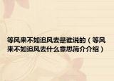 等风来不如追风去是谁说的（等风来不如追风去什么意思简介介绍）