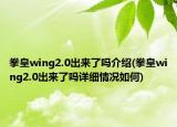 拳皇wing2.0出来了吗介绍(拳皇wing2.0出来了吗详细情况如何)