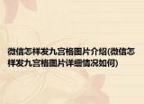 微信怎样发九宫格图片介绍(微信怎样发九宫格图片详细情况如何)