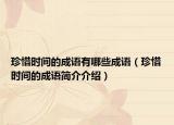 珍惜时间的成语有哪些成语（珍惜时间的成语简介介绍）