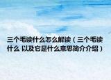 三个毛读什么怎么解读（三个毛读什么 以及它是什么意思简介介绍）