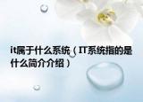 it属于什么系统（IT系统指的是什么简介介绍）