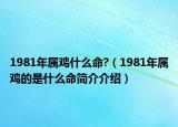 1981年属鸡什么命?（1981年属鸡的是什么命简介介绍）
