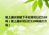 楼上漏水到楼下不处理可以打110吗（楼上漏水可以打110吗简介介绍）