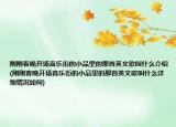 刚刚春晚开场喜乐街的小品里的那首英文歌叫什么介绍(刚刚春晚开场喜乐街的小品里的那首英文歌叫什么详细情况如何)