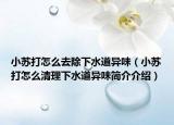 小苏打怎么去除下水道异味（小苏打怎么清理下水道异味简介介绍）