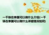 一千铢在泰国可以做什么介绍(一千铢在泰国可以做什么详细情况如何)