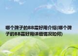 哪个牌子的BB霜好用介绍(哪个牌子的BB霜好用详细情况如何)