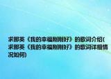 求那英《我的幸福刚刚好》的歌词介绍(求那英《我的幸福刚刚好》的歌词详细情况如何)