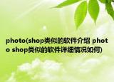 photo(shop类似的软件介绍 photo shop类似的软件详细情况如何)