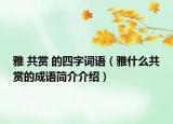 雅 共赏 的四字词语（雅什么共赏的成语简介介绍）