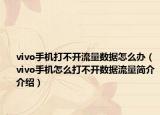 vivo手机打不开流量数据怎么办（vivo手机怎么打不开数据流量简介介绍）