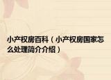 小产权房百科（小产权房国家怎么处理简介介绍）