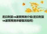 尼日利亚vs波黑预测介绍(尼日利亚vs波黑预测详细情况如何)