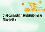 为什么叫鸢都（鸢都是哪个城市简介介绍）