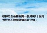 雄狮怎么会和鬣狗一般见识?（鬣狗为什么不敢掏雄狮简介介绍）