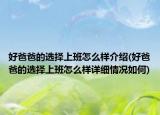 好爸爸的选择上班怎么样介绍(好爸爸的选择上班怎么样详细情况如何)