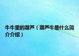 牛牛里的葫芦（葫芦牛是什么简介介绍）